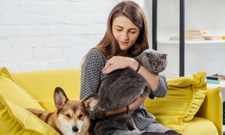 Pet parent with dog and cat on couch