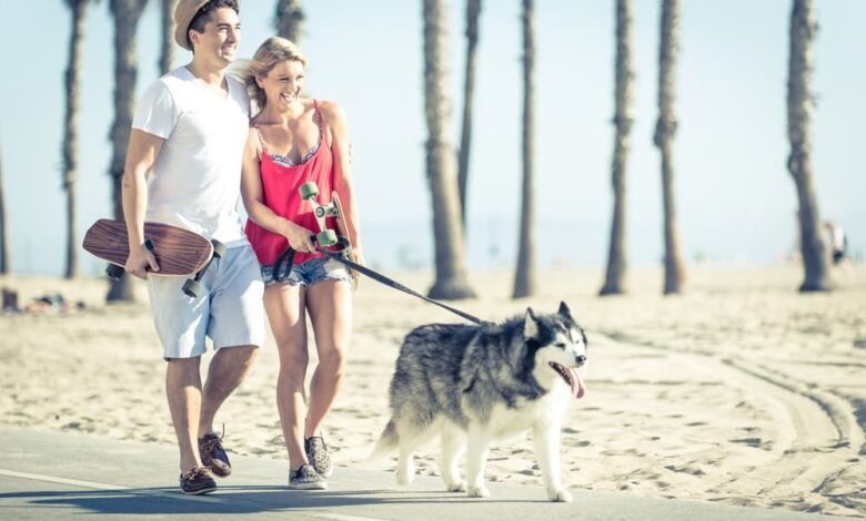 Couple walking dog in Los Angeles